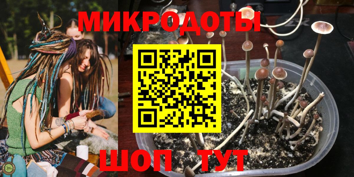 Псилоцибиновые грибы ЛСД  Вход с VPN  Отрадное  Псилоцибиновые грибы ЛСД 